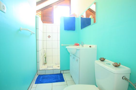 bathroom 3 persons apartment in Ferry Deshaies