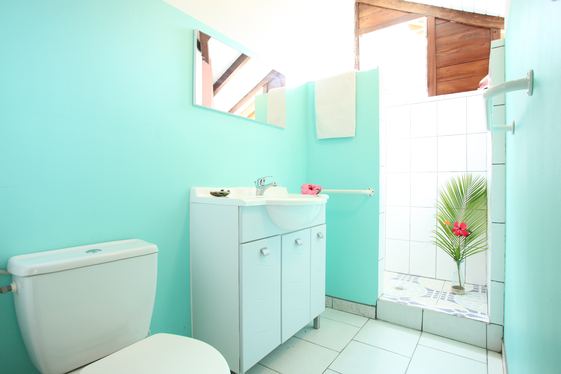 Your bathroom with shower