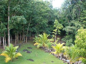 location vacances villa � Deshaies: le jardin